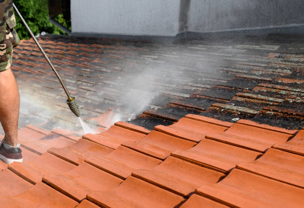 Best Concrete Pressure Washing  in Annapolis, MD