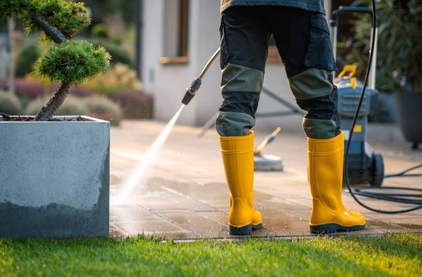 Best Roof Power Washing Services  in Annapolis, MD